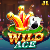 Wild Ace arena plus slot